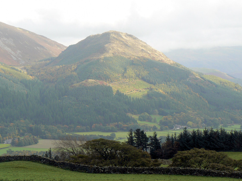 Dodd Dodd